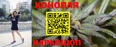 стафф Коммунар