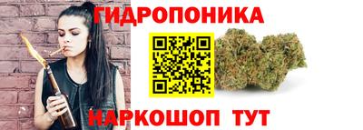 эйфоретик Кингисепп