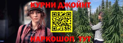 эйфоретик Кингисепп