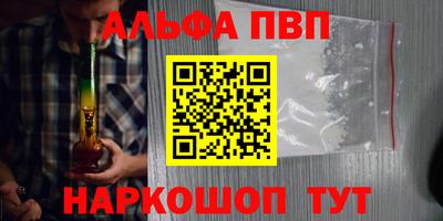 эйфоретик Кингисепп