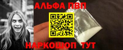 эйфоретик Кингисепп