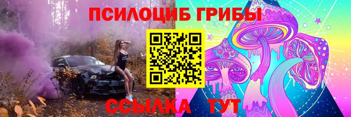 Галлюциногенные грибы GOLDEN TEACHER  Вход с VPN  Янаул 